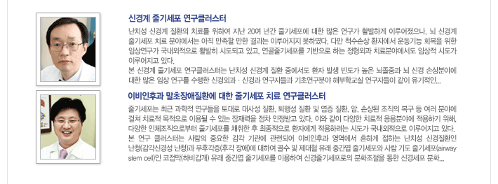 신경계 줄기세포 연구클러스터,난치성 신경계 질환의 치료를 위하여 지난 20여 년간 줄기세포에 대한 많은 연구가 활발하게 이루어졌으나, 뇌 신경계 줄기세포 치료 분야에서는 아직 만족할 만한 결과는 이루어지지 못하였다. 다만 척수손상 환자에서 운동기능 회복을 위한 임상연구가 국내외적으로 활발히 시도되고 있고, 연골줄기세포를 기반으로 하는 정형외과 치료분야에서도 임상적 시도가 이루어지고 있다.본 신경계 줄기세포 연구클러스터는 난치성 신경계 질환 중에서도 환자 발생 빈도가 높은 뇌졸중과 뇌 신경 손상분야에 대한 많은 임상 연구를 수행한 신경외과·신경과 연구자들과 기초연구분야 해부학교실 연구자들이 같이 유기적인..이비인후과 말초장애질환에 대한 줄기세포 치료 연구클러스터 줄기세포는 최근 과학적 연구들을 토대로 대사성 질환, 퇴행성 질환 및 염증 질환, 암, 손상된 조직의 복구 등 여러 분야에 걸쳐 치료적 목적으로 이용될 수 있는 잠재력을 점차 인정받고 있다. 이와 같이 다양한 치료적 응용분야에 적용하기 위해, 다양한 인체조직으로부터 줄기세포를 채취한 후 최종적으로 환자에게 적용하려는 시도가 국내외적으로 이루어지고 있다. 본 연구 클러스터는 사람의 중요한 감각 기관에 관련되어 이비인후과 영역에서 흔하게 접하는 난치성 신경질환인 난청(감각신경성 난청)과 무후각증(후각 장애)에 대하여 골수 및 제대혈 유래 중간엽 줄기세포와 사람 기도 줄기세포(airway stem oell)인 코점막(하비갑개) 유래 중갑엽 줄기세포를 이용하여 신경줄기세포로의 분화조절을 통한 신경세포 분화..