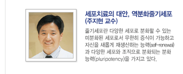 세포치료의 대안, 역분화줄기세포 - (주지현 교수 : 가톨릭대학교 의과대학 류마티스내과)