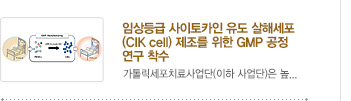 [가톨릭세포치료사업단 소식] 6.	임상등급 사이토카인 유도 살해세포(CIK cell) 제조를 위한 GMP 공정 연구 / 자세히보기