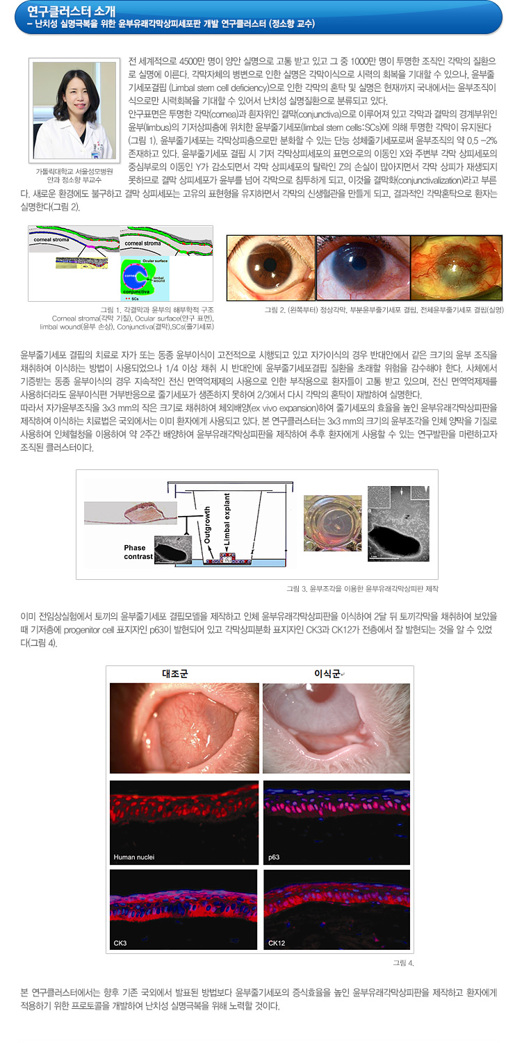 하단참조